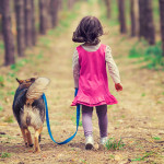 愛犬と森林浴。ペットと歩ける森でいつもと違うお散歩をしてみませんか？