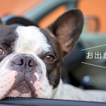 家族とペットで大自然を満喫♡ 那須の厳選おすすめスポット3選